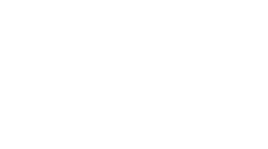 LBC La Boliviana Ciacruz Logo Footer